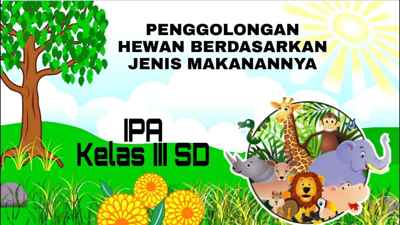 Detail Gambar Hewan Dan Jenis Makanannya Nomer 45