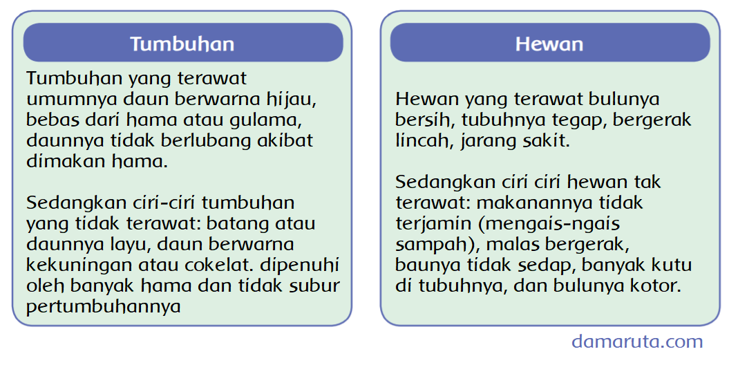 Detail Gambar Hewan Dan Tumbuhan Yang Tidak Terawat Nomer 27