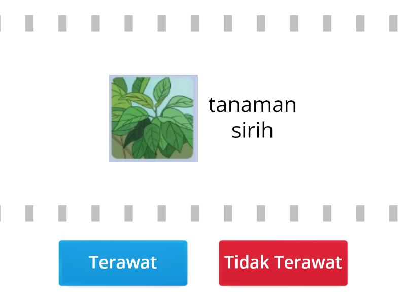 Detail Gambar Hewan Dan Tumbuhan Yang Tidak Terawat Nomer 50