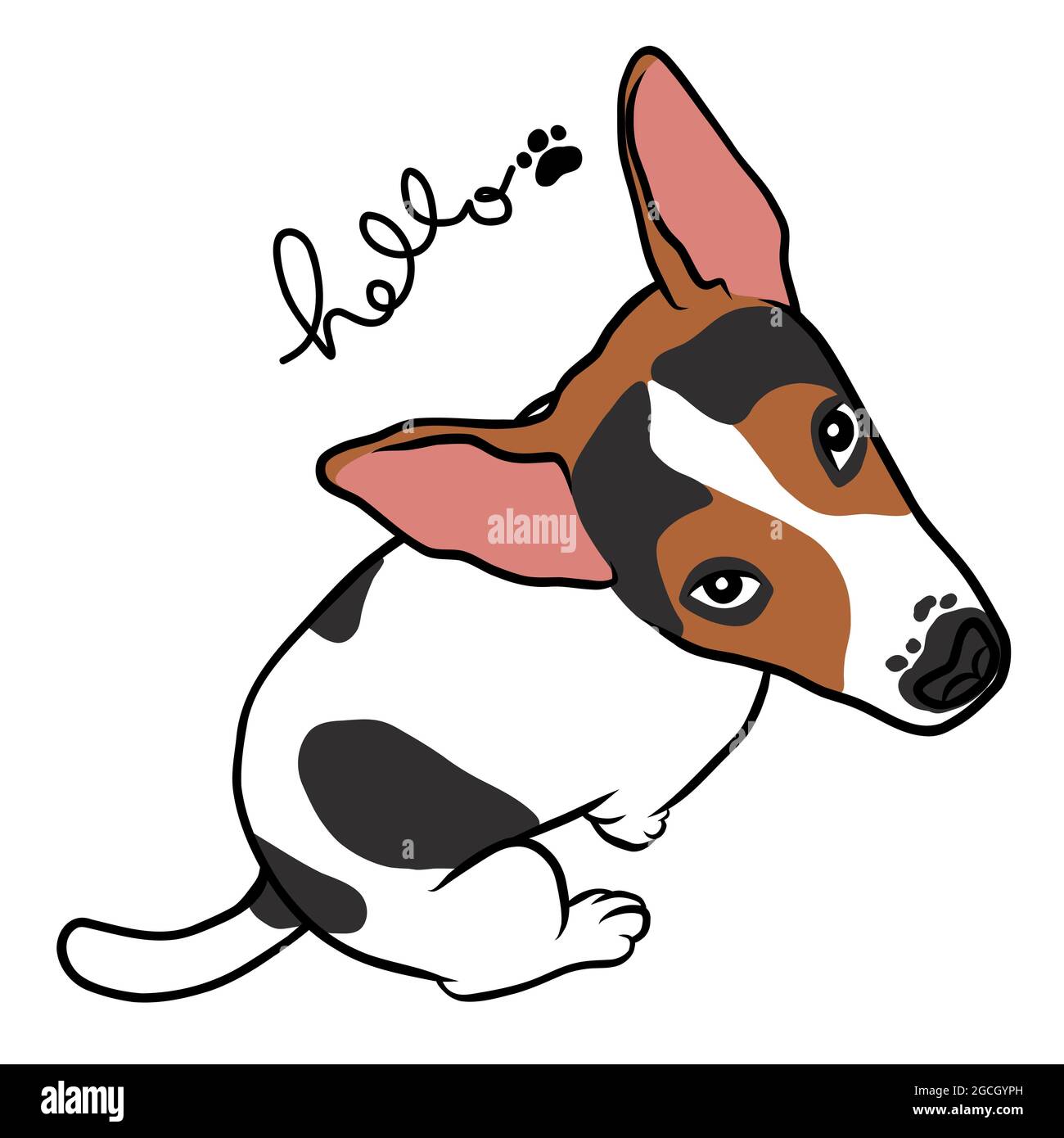 Download Bilder Von Jack Russel Nomer 18