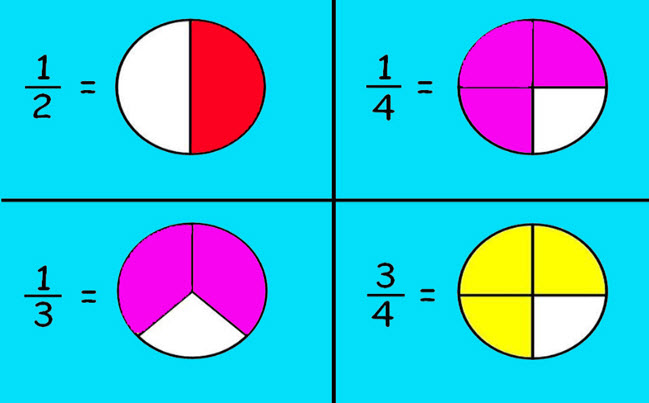 Detail Contoh Gambar Pecahan Nomer 6