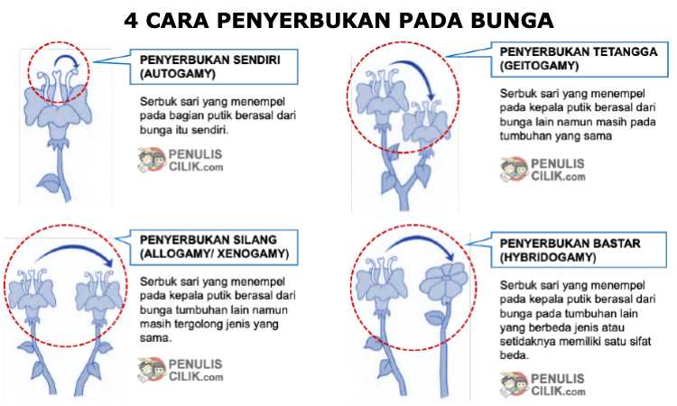 Detail Contoh Gambar Penyerbukan Bastar Pada Bunga Nomer 53