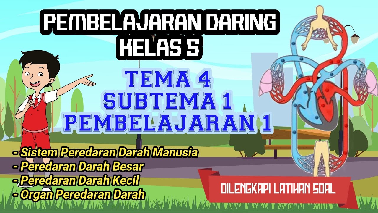 Detail Contoh Gambar Peredaran Darah Nomer 42