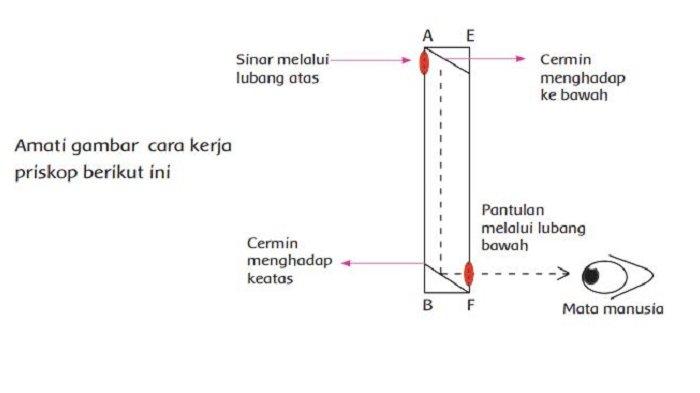 Detail Contoh Gambar Periskop Nomer 6