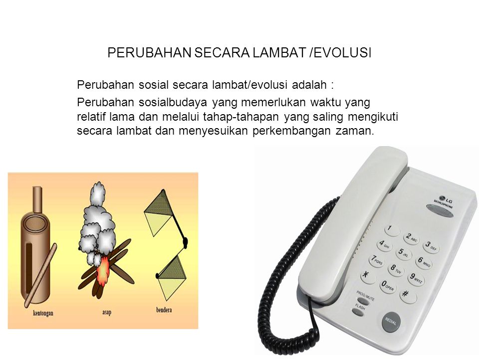 Detail Contoh Gambar Perubahan Evolusi Nomer 51