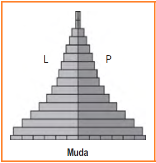 Detail Contoh Gambar Piramida Penduduk Nomer 17