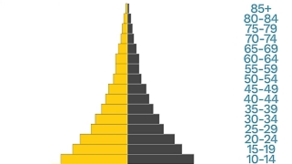 Detail Contoh Gambar Piramida Penduduk Nomer 22