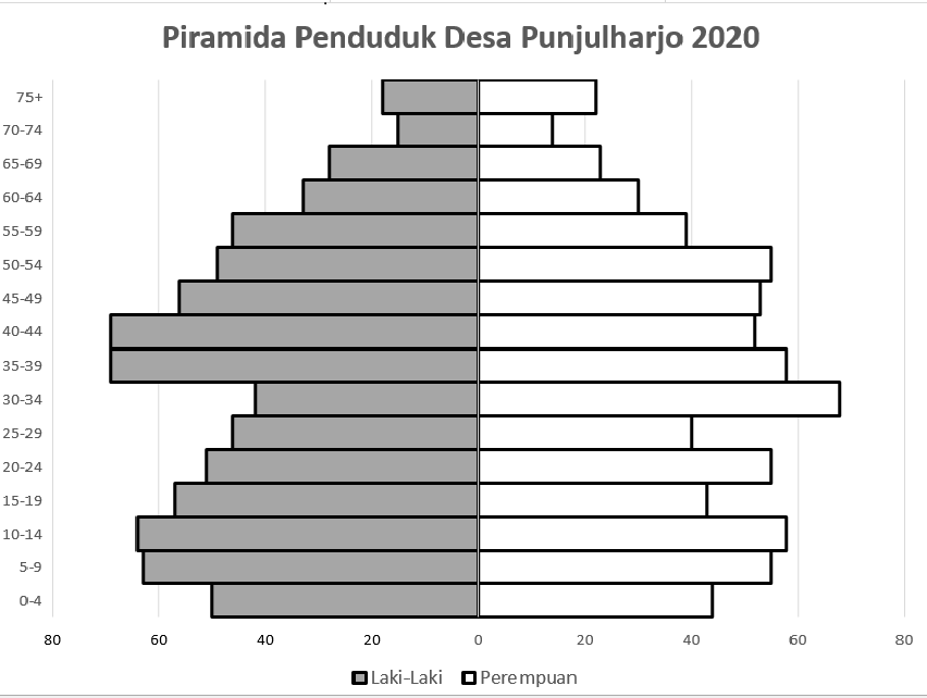 Detail Contoh Gambar Piramida Penduduk Nomer 34