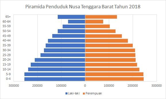 Detail Contoh Gambar Piramida Penduduk Nomer 35