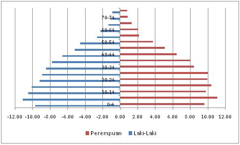 Detail Contoh Gambar Piramida Penduduk Nomer 46