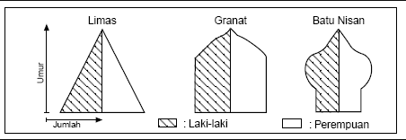 Detail Contoh Gambar Piramida Penduduk Nomer 51