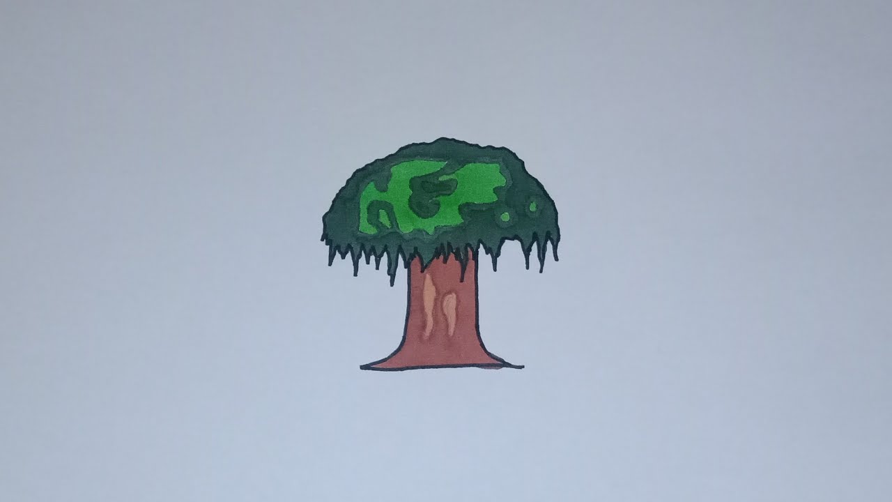 Detail Contoh Gambar Pohon Beringin Nomer 7