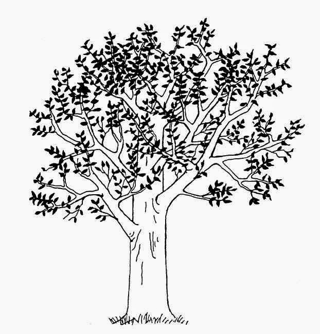 Contoh Gambar Pohon Dalam Psikotes - KibrisPDR