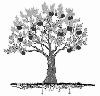 Detail Contoh Gambar Pohon Dalam Psikotes Nomer 15
