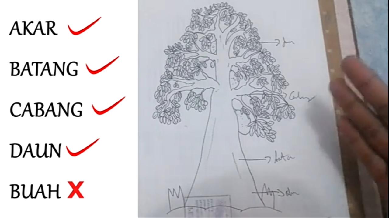 Detail Contoh Gambar Pohon Dalam Psikotes Nomer 21