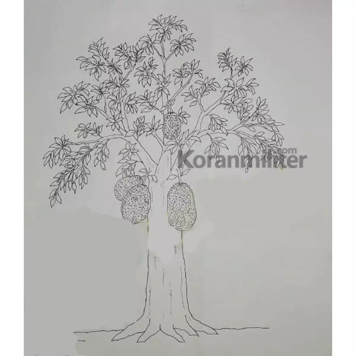 Detail Contoh Gambar Pohon Dalam Psikotes Nomer 33