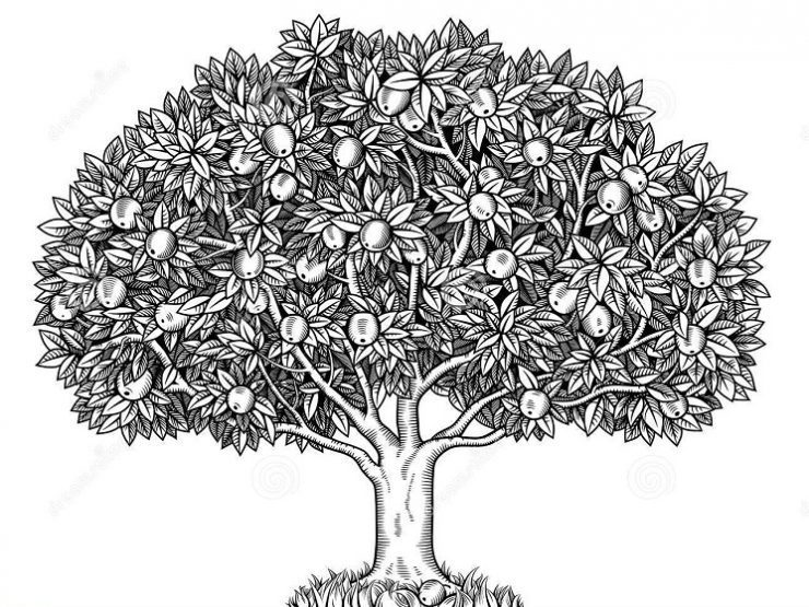 Detail Contoh Gambar Pohon Dalam Psikotes Nomer 8