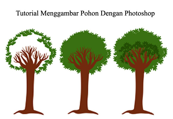 Detail Contoh Gambar Pohon Kapas Nomer 52
