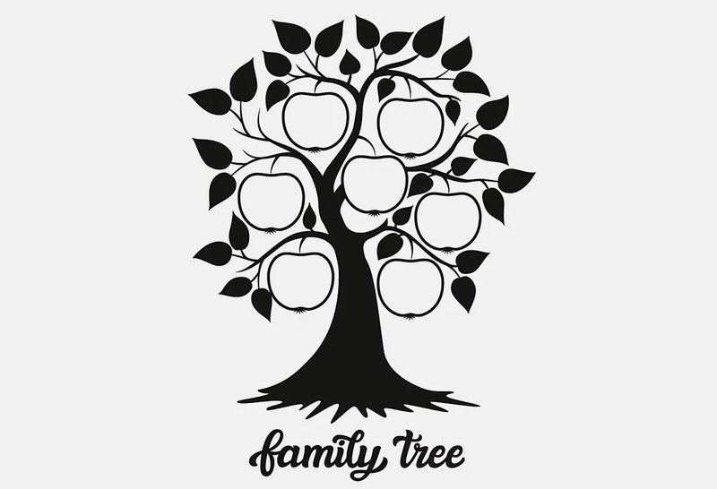 Detail Contoh Gambar Pohon Keluarga Nomer 50