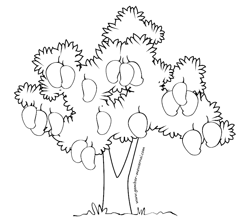 Detail Contoh Gambar Pohon Mangga Nomer 2