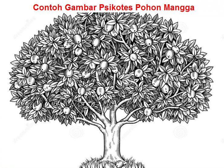 Detail Contoh Gambar Pohon Mangga Nomer 13