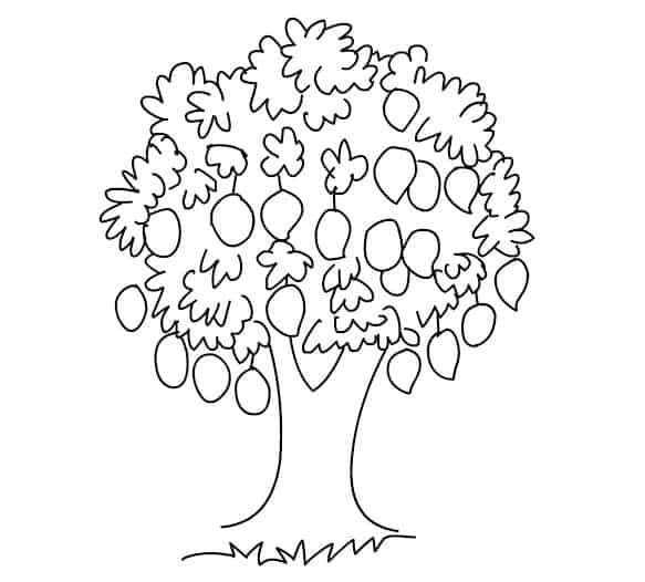 Detail Contoh Gambar Pohon Mangga Nomer 14