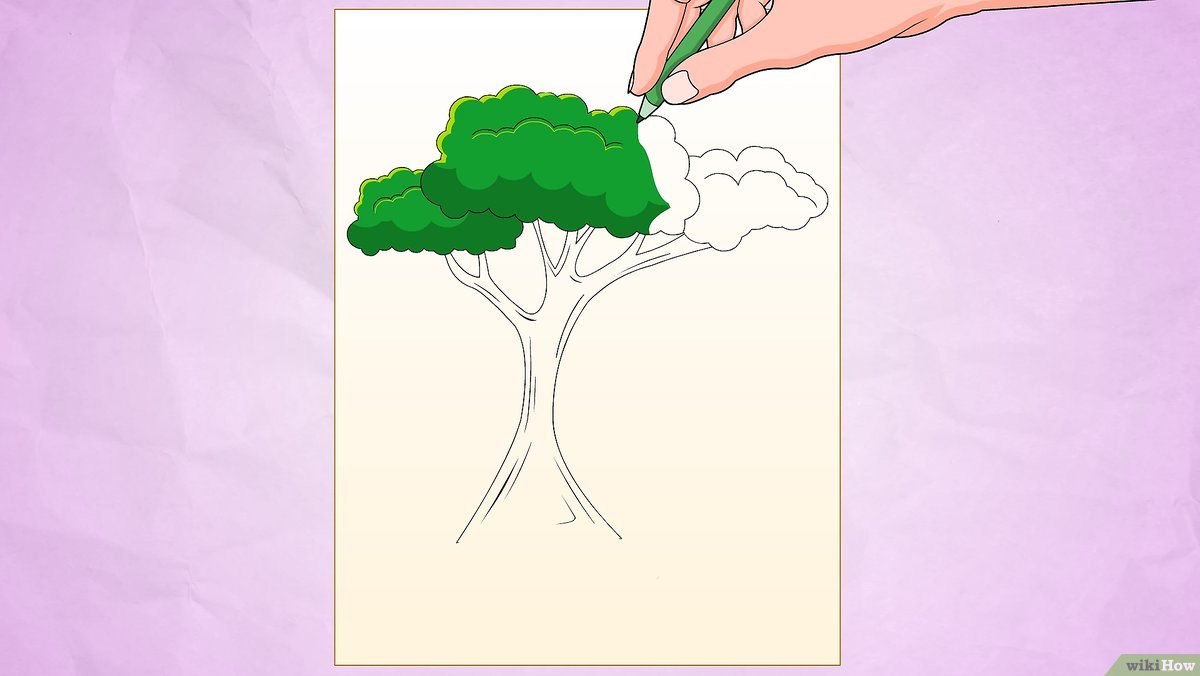 Detail Contoh Gambar Pohon Mangga Nomer 25