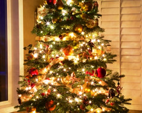 Detail Contoh Gambar Pohon Natal Nomer 48