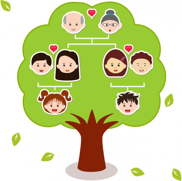 Detail Contoh Gambar Pohon Silsilah Keluarga Nomer 3