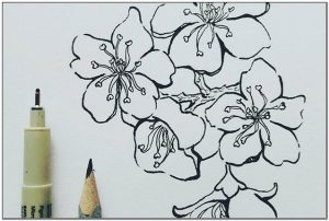 Detail Contoh Gambar Pointilis Bunga Sakura Nomer 4