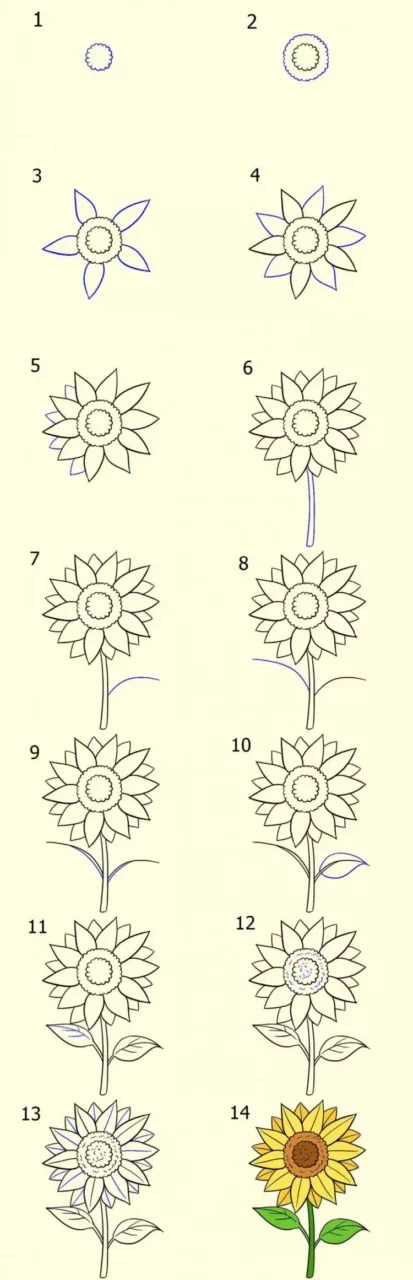 Detail Contoh Gambar Pointilis Bunga Sakura Nomer 47