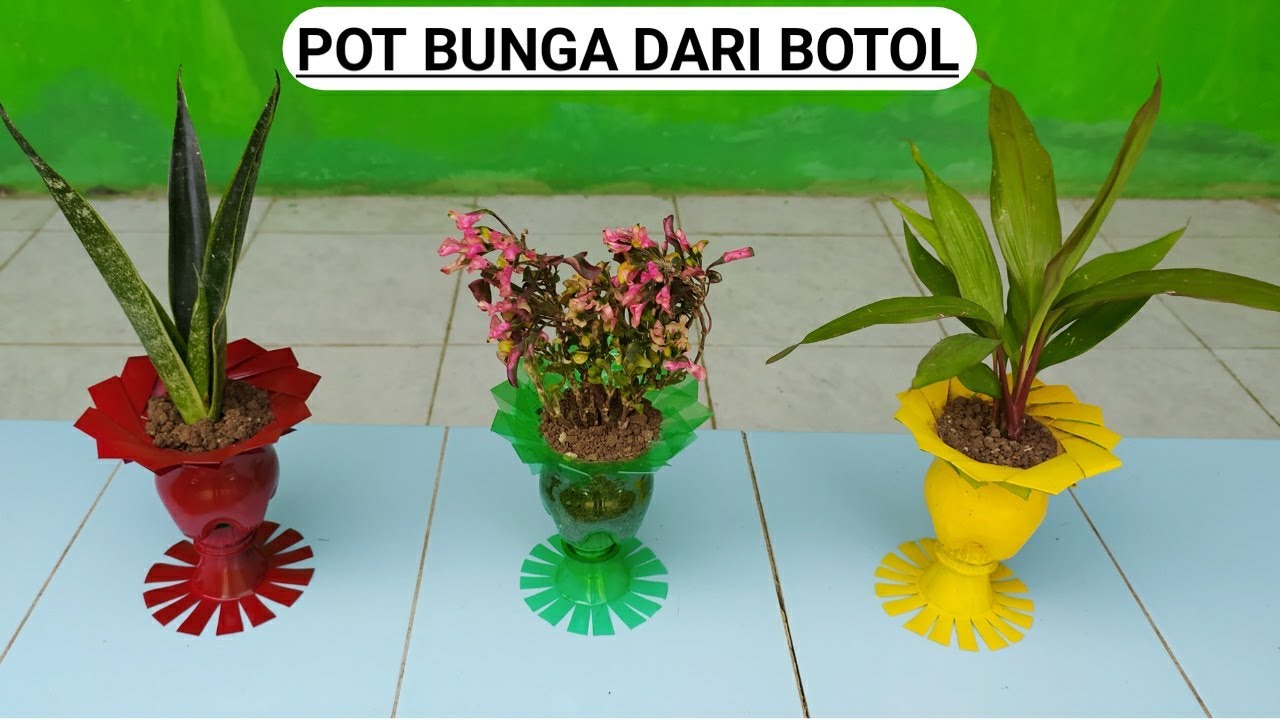 Detail Contoh Gambar Pot Bunga Nomer 56