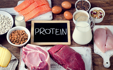 Detail Contoh Gambar Protein Nomer 14