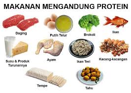 Detail Contoh Gambar Protein Nomer 15