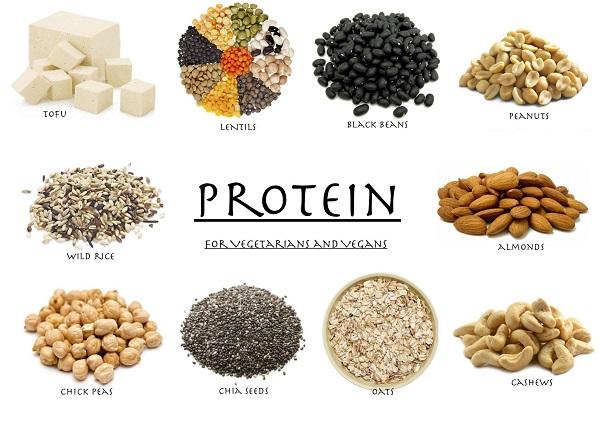 Detail Contoh Gambar Protein Nomer 16