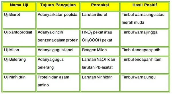 Detail Contoh Gambar Protein Nomer 45