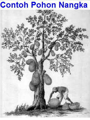 Detail Contoh Gambar Psikotes Pohon Nomer 10
