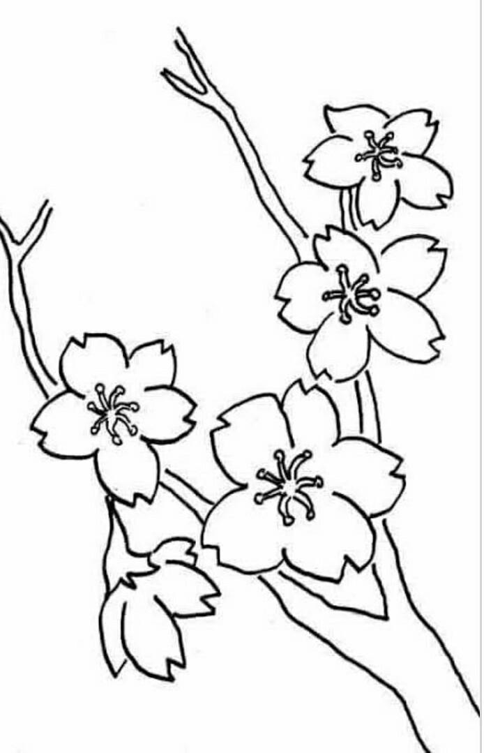 Detail Contoh Gambar Ragam Hias Bunga Nomer 4