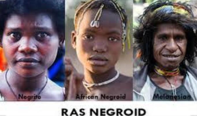 Contoh Gambar Ras Negroid - KibrisPDR