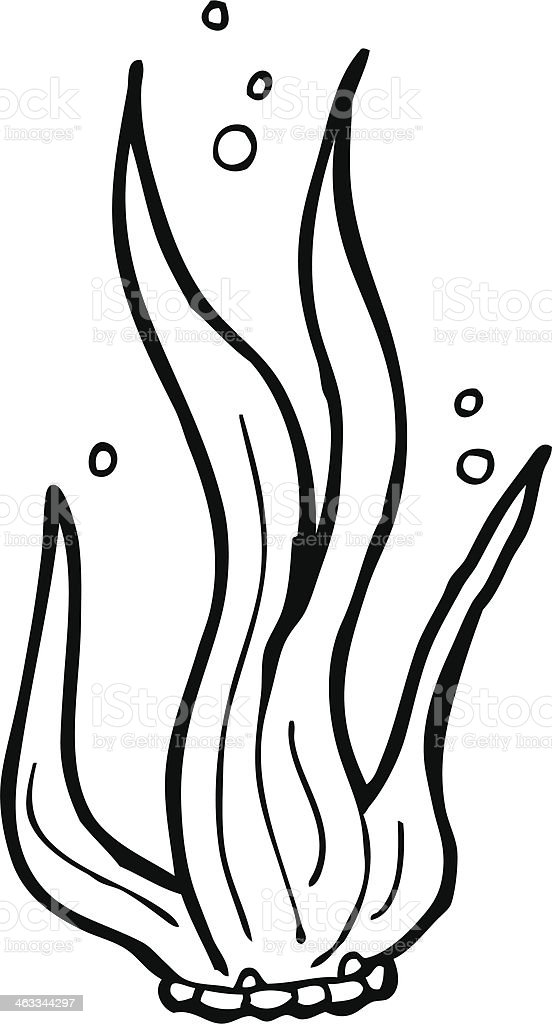 Detail Contoh Gambar Rumput Laut Nomer 29