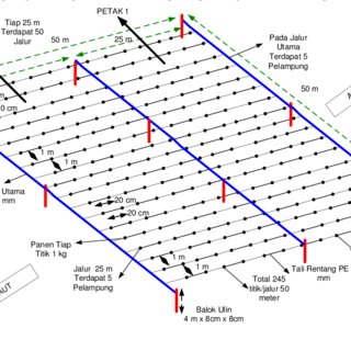 Detail Contoh Gambar Rumput Laut Nomer 47