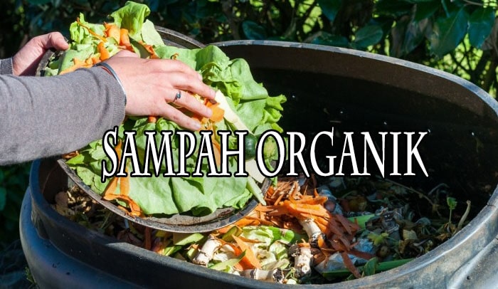 Detail Contoh Gambar Sampah Organik Nomer 19