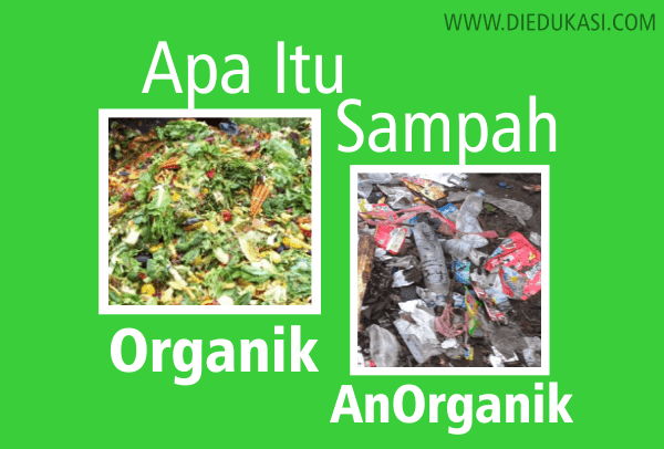 Detail Contoh Gambar Sampah Organik Nomer 51