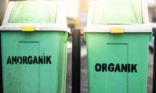 Detail Contoh Gambar Sampah Organik Dan Anorganik Nomer 35