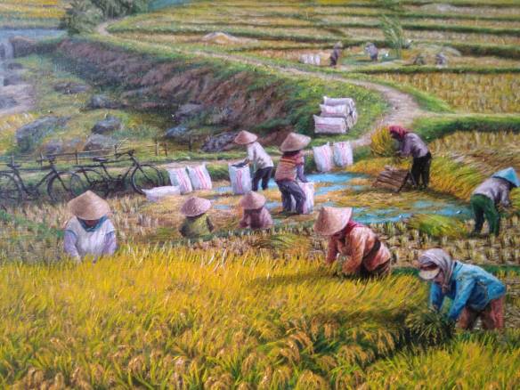 Detail Contoh Gambar Sawah Nomer 44