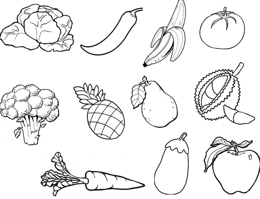 Detail Contoh Gambar Sayuran Nomer 21