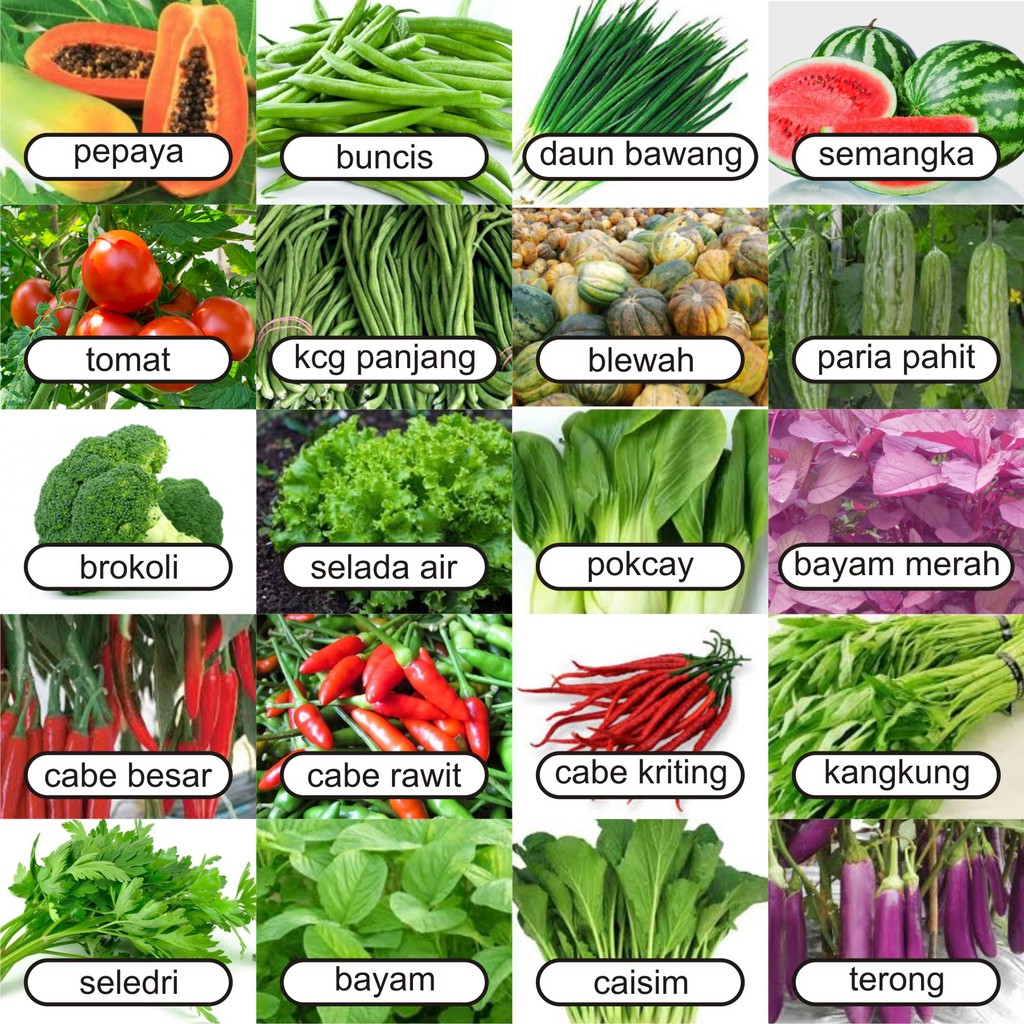 Detail Contoh Gambar Sayuran Nomer 9