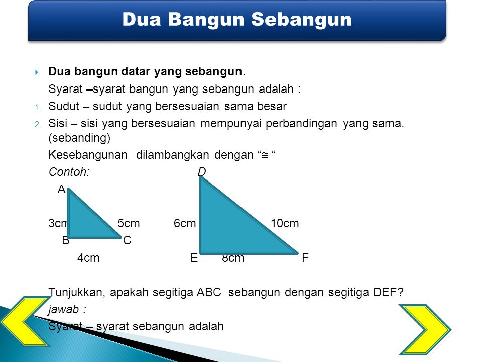 Detail Contoh Gambar Sebangun Nomer 40