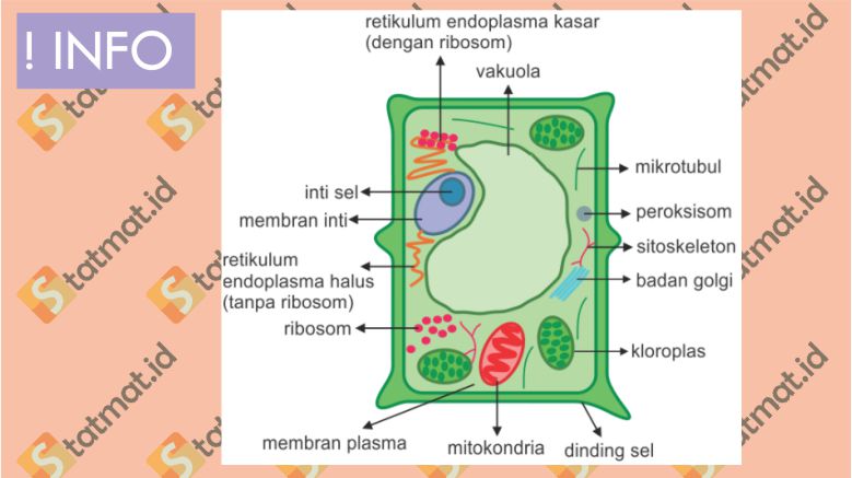 Detail Contoh Gambar Sel Hewan Nomer 46