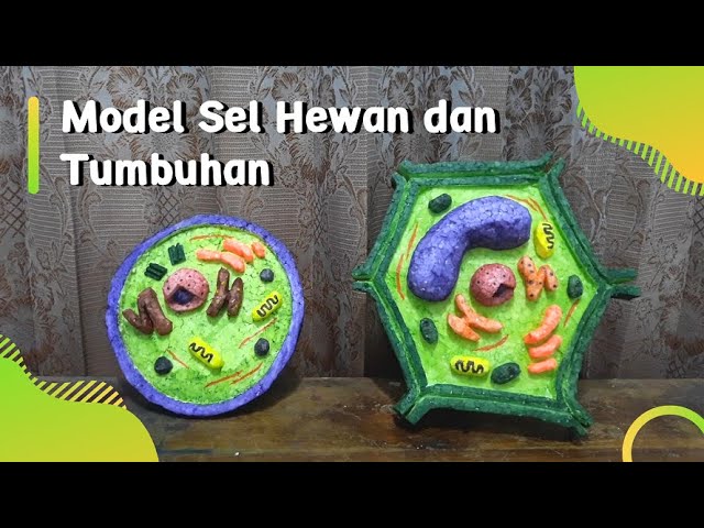 Detail Contoh Gambar Sel Hewan Dan Tumbuhan Nomer 35